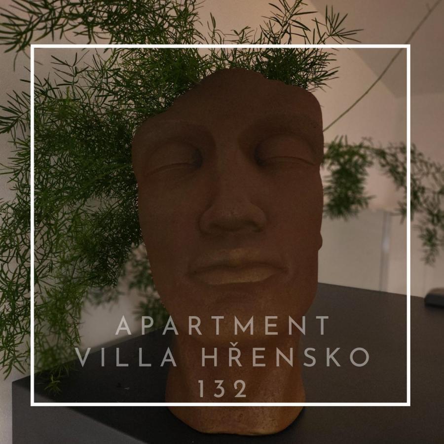 Apartment Villa Hrensko 132 מראה חיצוני תמונה